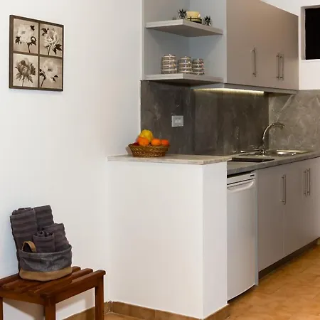 Metsovo 아파트호텔