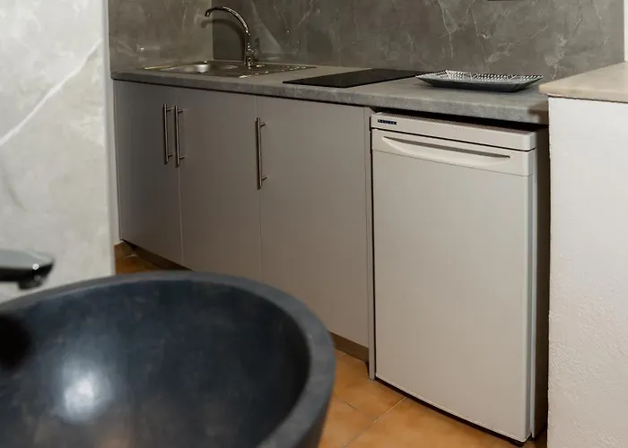 Metsovo 公寓式酒店 3*